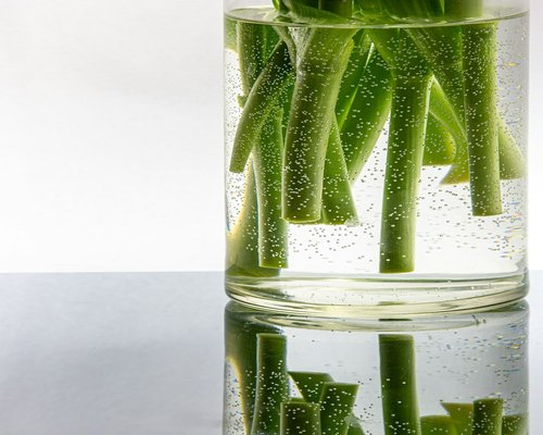 Bundled fresh green lemongrass stalks soaking inside hot water in a clear glass